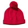 Big Accessories Pom Knit Beanie