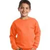 Embroidered Logo Kid’s Crewneck Sweatshirt